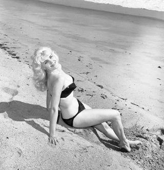 1960s Ron Vogel Negative,  Sexy Pin - Up Girl Darby Flynn In Bikini,  T207581
