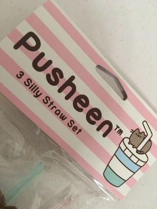 Pusheen Silly Straw Set - Pusheen Summer 2017 Subscription Box 2