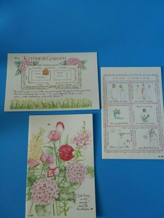 Susan Branch Kitchen Garden 18 Blank Note Cards 6 Each Of 3 Designs 1999 Nib