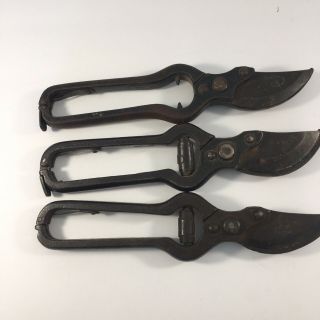 Antique Tools Vintage Garden Pruning Shears Snips Cutters Scissors Hand Pruner