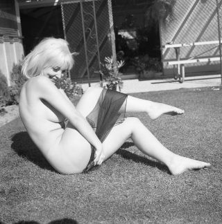 1960s Vogel Negative,  Voluptuous Nude Blonde Pin - Up Girl Betty Miller,  T215271