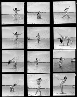 8x10 Print Sexy Model Pin Up Bettie Page Proof Sheet 1955 Bp343