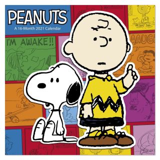 Peanuts Charlie Brown 12 " X 24 " 16 Month 2021 Wall Calendar