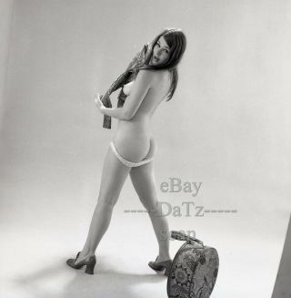 1960s Negative - Sexy Nude Brunette Pinup Girl In Studio - Cheesecake T274323