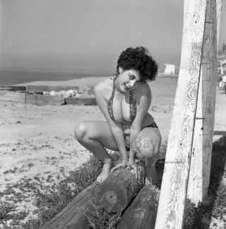1950s Negative - Busty Pinup Girl Gigi Frost In Sexy Bikini At The Beach T273091