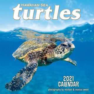 2021 Wall Calendar - Hawaiian Sea Turtles By Michael & Monica Sweet,  11in X 11in
