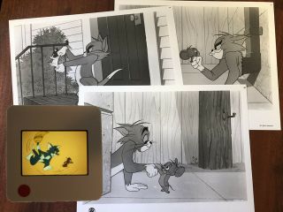 Rare: Tom & Jerry 3 - 8x10 B&w Photos & 3 - 35mm Slides For Tv Promotion