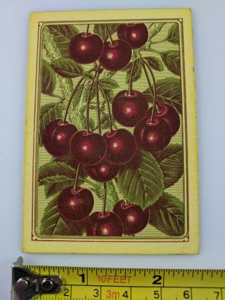 Antique Playing Card Old Single Square Corner Cherry Fruit Tree Art Vtg Print