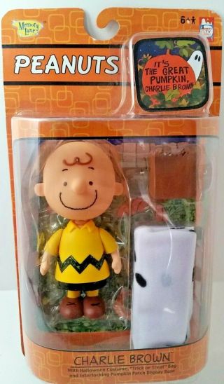 Vintage - Peanuts Charlie Brown - It 