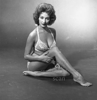 1950s Negative,  Sexy Pin - Up Girl Claudia Gilbert In Bikini,  Cheesecake T270992