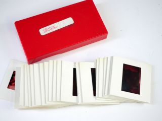 13 vintage nude 35mm slides transparencies various models magenta colors RA 2