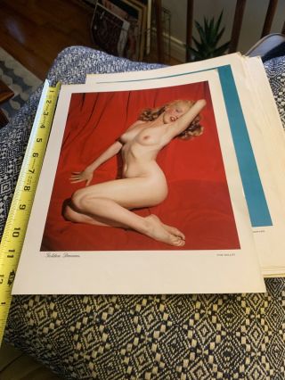 1955 Rare Nude Marilyn Monroe Golden Dreams Tom Kelly Pinup 12.  5 X 9.  5 Book