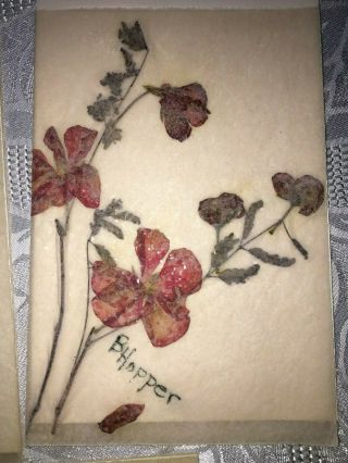 Vintage Handmade Pressed Flower Note Cards Signed with Envelopes 3