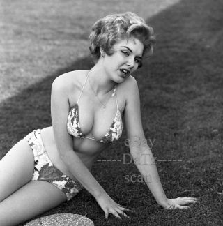 1950s Negative,  Sexy Pin - Up Girl Didi Daniels In Bikini,  Cheesecake T269538
