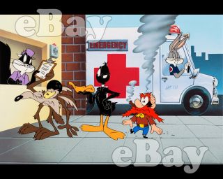 Rare Looney Tunes Cartoon Photo Warner Bros Animation Bugs Bunny Daffy Duck
