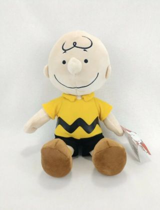 Nwt Peanuts Charlie Brown Kohls Cares 9  Plush Doll Great Christmas Gift