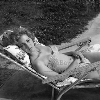 1960s Negative - Sexy Pin - Up Girl Adele Chretin In Bikini - Cheesecake T273943