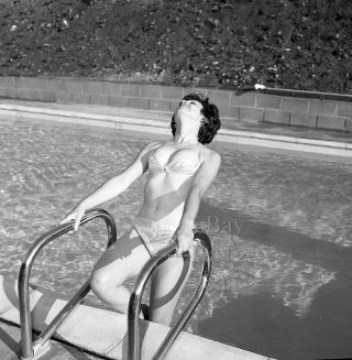 1960s Negative - Sexy Brunette Pin - Up Girl Jean Brett In Bikini - Cheesecake T273988