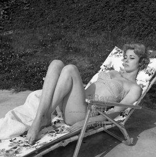 1960s Negative - Sexy Pin - Up Girl Adele Chretin In Bikini - Cheesecake T273942