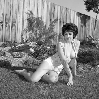 1960s Negative - Sexy Brunette Pin - Up Girl Jean Brett - Cheesecake T273997
