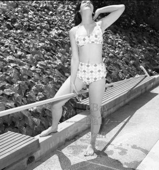 1960s Negative - Busty Pin - Up Girl Lana Rodgers In Sexy Bikini - Cheesecake T273473