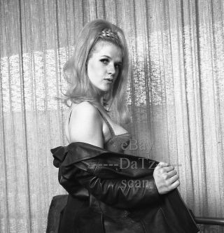 1960s Negative - Sexy Pinup Girl Shawna In Bra & Leather Coat - Cheesecake T273427