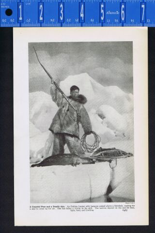 Eskimo Seal Hunter W/ Harpoon At A Blowhole In Alaska - 1937 Historical Print