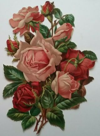 L Antique,  Emboschromo Victorian Scrap.  Lovely Spray/ Pink,  Red Roses.  25x18cm