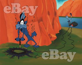 Rare Road Runner Cartoon Photo Warner Bros Animation Looney Tunes Wile E Coyote