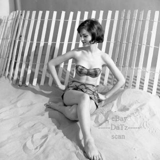 1960s Sherman Fairchild Negative - Sexy Pinup Girl Pat Jeffers In Swimsuit N319939
