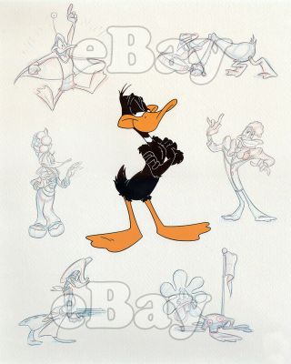 Rare Looney Tunes Cartoon Color Photo 2 0f 10 Warner Bros Animation Daffy Duck
