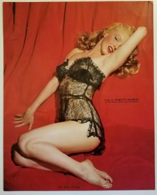 Marilyn Monroe Pin Up - The Lure Of Lace 1955