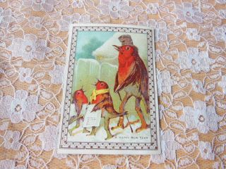 Victorian Year Card/anthropomorphic Robins Singing/goodall