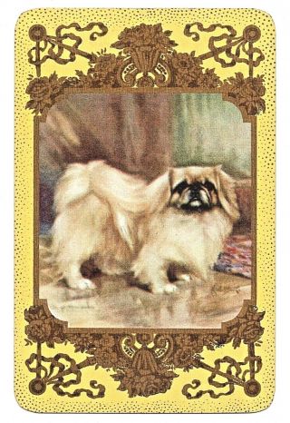 Pekinese Dog Swap Cards Playing Cards English Named Unnamed Gold Filagree