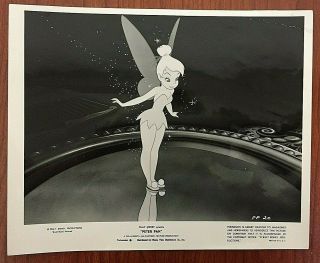 Tinkerbell 1953 Walt Disney Studio Library Photo 8 " X 10 " Peter Pan