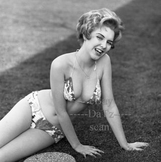 1950s Negative,  Sexy Pin - Up Girl Didi Daniels In Bikini,  Cheesecake T269537