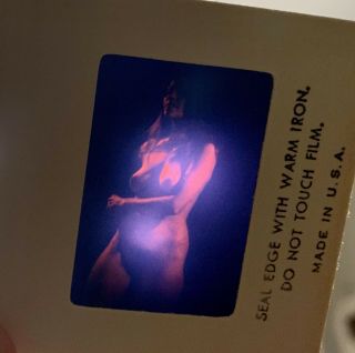 1960s Diane Webber ‘marguerite’ Nude 35mm Transparency Slide In California Club