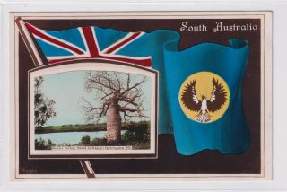 Vintage Postcard South Australian Flag Series Gregory 
