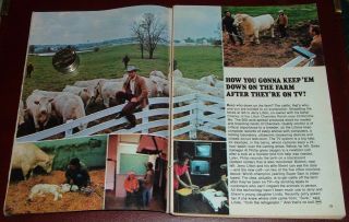 1971 Tv Article Jerry Litton Litton Charolais Ranch Chillicothe,  Missouri Cattle