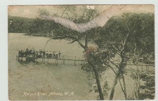 Kalgan River Albany Western Australia Norman Bros Albany Postcard C1910
