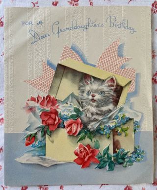 Vintage 1940s Birthday Greeting Card Cute Kitten Cat In Gift Box Of Roses