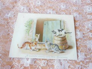 Victorian Christmas Card/cats Playing By Open Door
