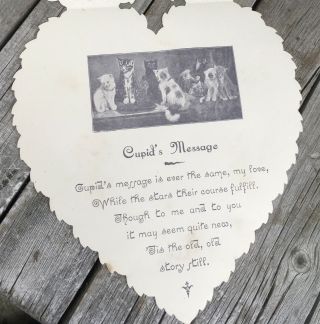 1880’s Victorian Valentine Paper Lace Card w Cats Die Cut 3