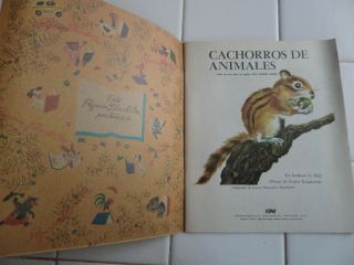 Wild Animal Babies,  A Little Golden Book,  1981 (SPANISH SOFTCOVER) 3
