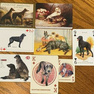 Dog Breed Swap Playing Cards - Singles - Scottish Deerhound