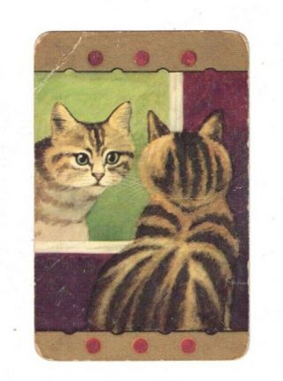 Swap Card Coles Un - Named Series Vintage - Cat Looking In Mirror/window