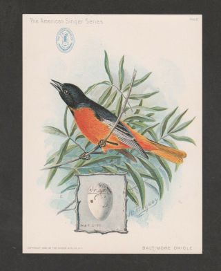 Kappyscollectable 0019 Circa 1900 Baltimore Oriole Ad Card Singer Sewing Machine