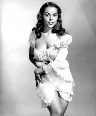 1950 - 1959 Diane Webber B/w Glamour Classic Photo (celebrities)