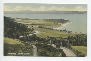 Tasmania C.  1910: Colour Ppc W/view Brown 