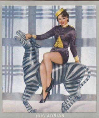 Iris Adrian - Monopol Hollywood " Film Artist " Pin - Up/cheesecake 1937 Cig Card